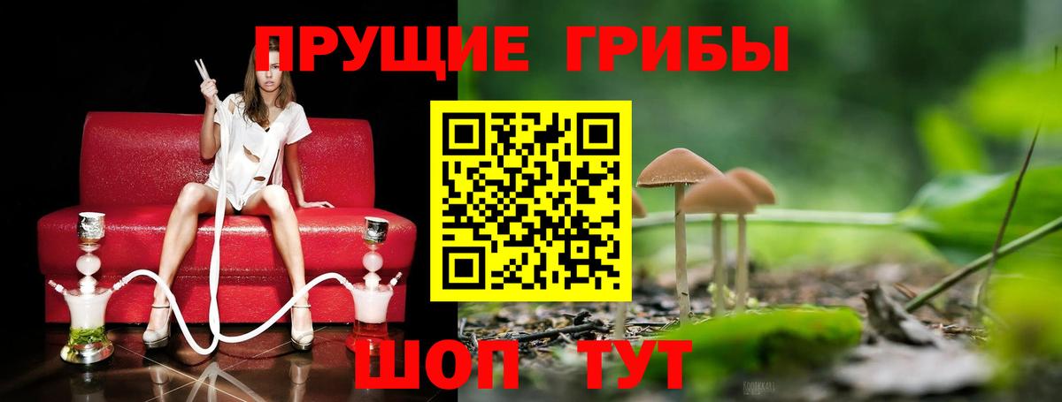 Щёлково  Галлюциногенные грибы Cubensis  Галлюциногенные грибы Cubensis  Вход с VPN 